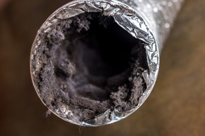 Dryer Vent Cleaning detail